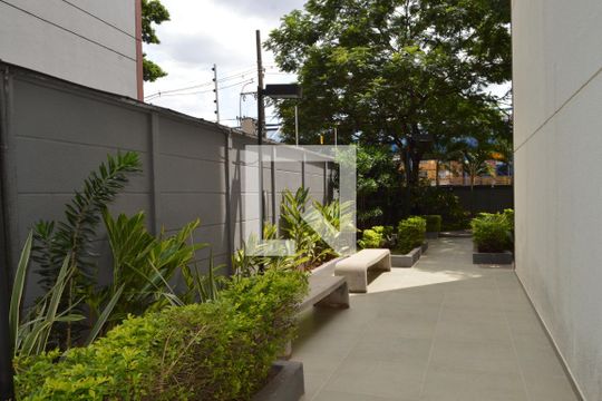 Área comum de apartamento à venda com 1 quarto, 33m² em Cambuci, São Paulo