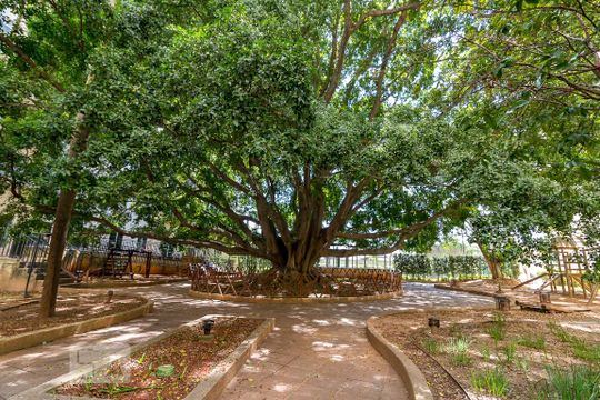 Bosque de apartamento para alugar com 2 quartos, 60m² em Picanço, Guarulhos