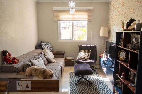 Sala de apartamento à venda com 3 quartos, 63m² em Vila Araguaia, São Paulo