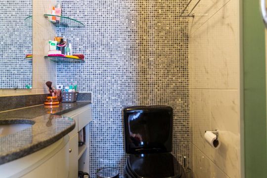 Banheiro Social de apartamento para alugar com 2 quartos, 50m² em Chácara Inglesa, São Paulo