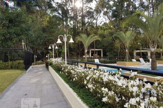 Área Comum de apartamento para alugar com 3 quartos, 81m² em Vila Amélia, São Paulo