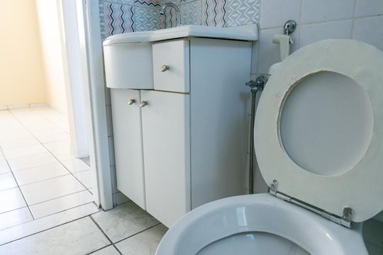 Banheiro de apartamento para alugar com 2 quartos, 50m² em Santa Cruz, Belo Horizonte