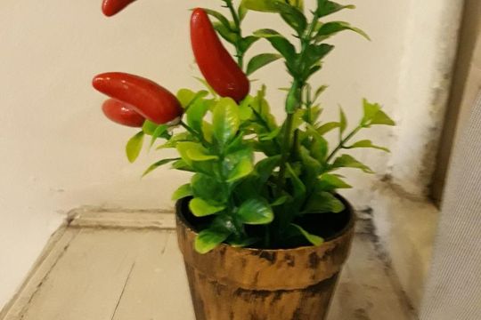 Sala de kitnet/studio à venda com 1 quarto, 38m² em Flamengo, Rio de Janeiro