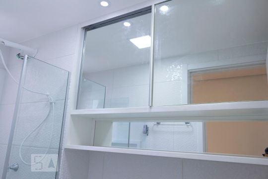 Banheiro de apartamento para alugar com 2 quartos, 41m² em Cambuci, São Paulo