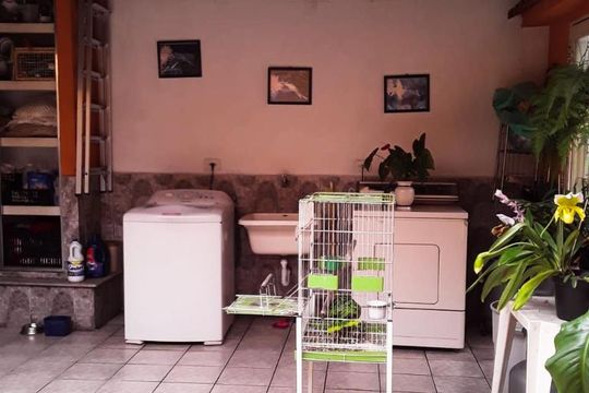 Área de Serviço de casa à venda com 3 quartos, 180m² em Vila Invernada, São Paulo