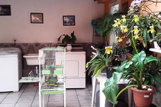 Área de Serviço de casa à venda com 3 quartos, 180m² em Vila Invernada, São Paulo
