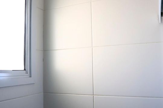 Banheiro da Suite de apartamento para alugar com 3 quartos, 60m² em Vila Suzana, São Paulo