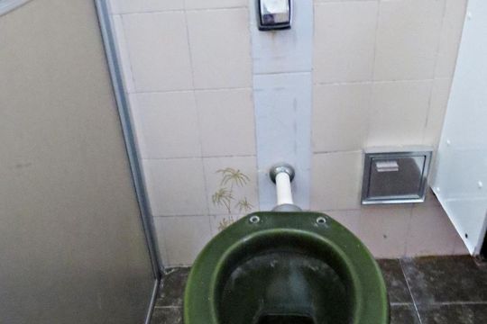 Detalhe banheiro de casa para alugar com 2 quartos, 100m² em Vila Constança, São Paulo
