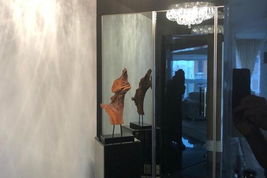 Sala de apartamento à venda com 3 quartos, 244m² em Vila Suzana, São Paulo