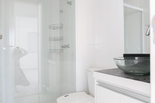 Banheiro  de apartamento para alugar com 2 quartos, 53m² em Vila Guarani (zona Sul), São Paulo