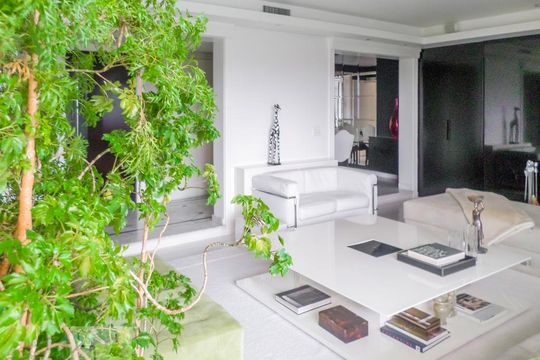 Apartamento para alugar com 3 quartos, 249m² em Cambuci, São Paulo