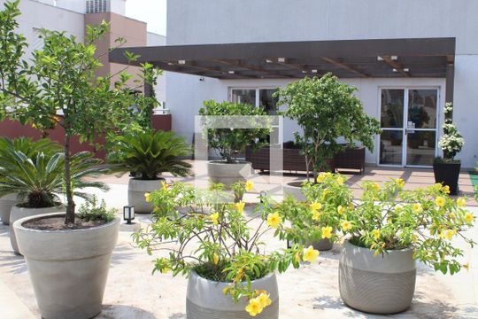 Área comum de apartamento para alugar com 2 quartos, 41m² em Barra Funda, São Paulo