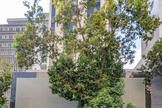 Apartamento à venda com 1 quarto, 75m² em Funcionários, Belo Horizonte