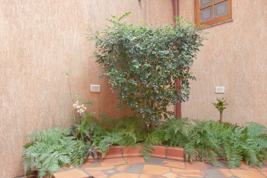 Jardim de casa à venda com 3 quartos, 225m² em Cangaiba, São Paulo