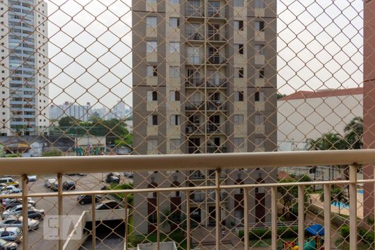 Varanda de apartamento para alugar com 3 quartos, 65m² em Cambuci, São Paulo