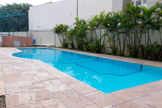 Área comum - Piscina de apartamento para alugar com 3 quartos, 65m² em Cambuci, São Paulo