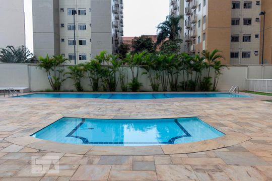 Área comum - Piscina de apartamento para alugar com 3 quartos, 65m² em Cambuci, São Paulo