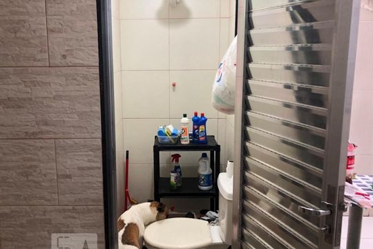 Banheiro de Serviço de apartamento para alugar com 2 quartos, 90m² em Centro, Niterói