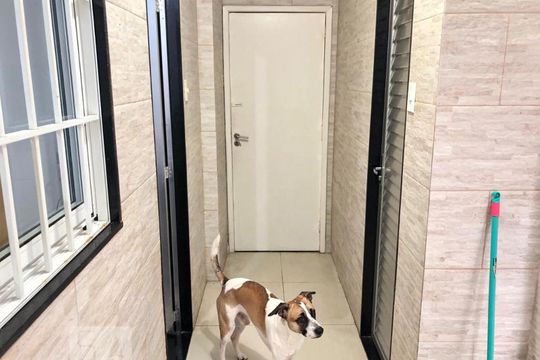 Área de Serviço de apartamento para alugar com 2 quartos, 90m² em Centro, Niterói