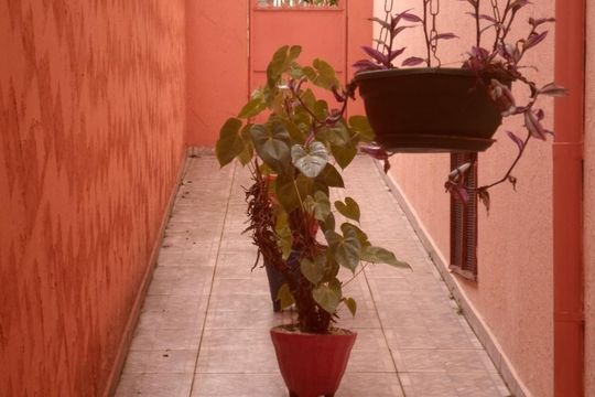 Quintal de casa à venda com 4 quartos, 398m² em Jardim Bela Vista, Santo André