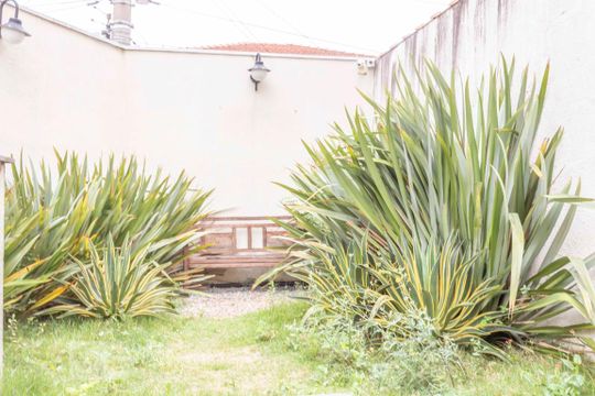 Jardim de casa de condomínio à venda com 2 quartos, 82m² em Casa Verde Alta, São Paulo
