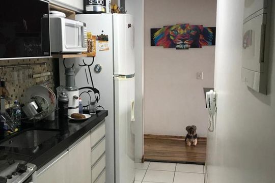 Cozinha de apartamento à venda com 3 quartos, 70m² em Centro, Niterói