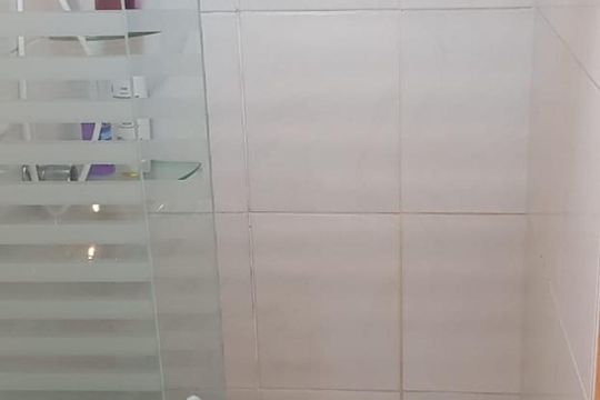Banheiro de apartamento para alugar com 2 quartos, 55m² em Brás, São Paulo