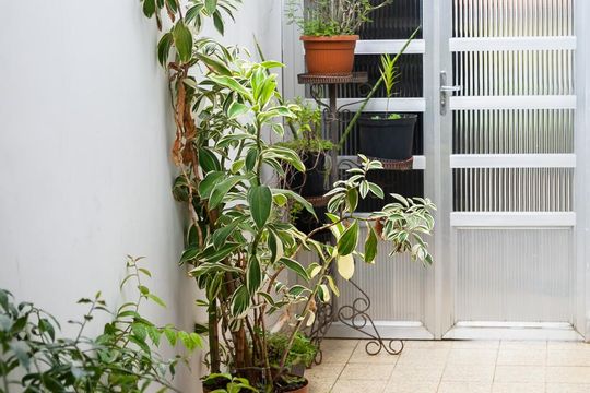 Garagem de casa à venda com 3 quartos, 190m² em Bosque da Saúde, São Paulo