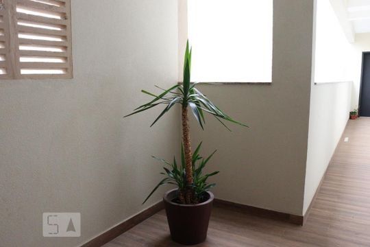 Área comum de kitnet/studio para alugar com 1 quarto, 27m² em Jardim da Glória, São Paulo