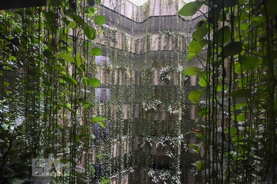Corredor de acesso de apartamento para alugar com 1 quarto, 50m² em Jardim Ampliacao, São Paulo