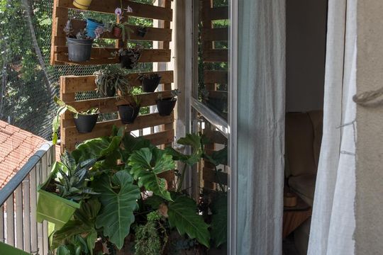 Varanda da Sala  de apartamento à venda com 2 quartos, 52m² em Tijuca, Rio de Janeiro