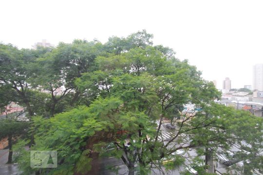 Vista de apartamento para alugar com 1 quarto, 48m² em Ipiranga, São Paulo
