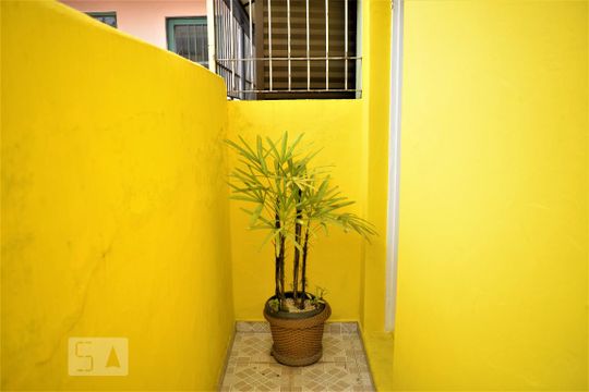 Área Externa Superior de casa para alugar com 6 quartos, 123m² em Vila Mariana, São Paulo