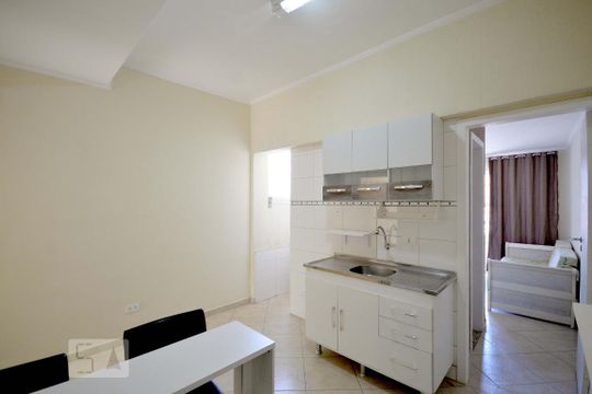 Sala/Cozinha de kitnet/studio para alugar com 1 quarto, 30m² em Vila Monumento, São Paulo