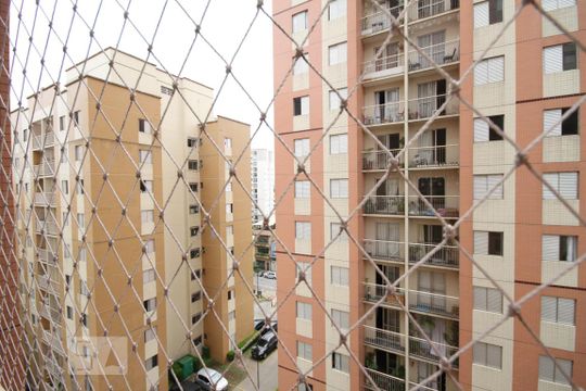 Vista de apartamento para alugar com 3 quartos, 61m² em Cambuci, São Paulo