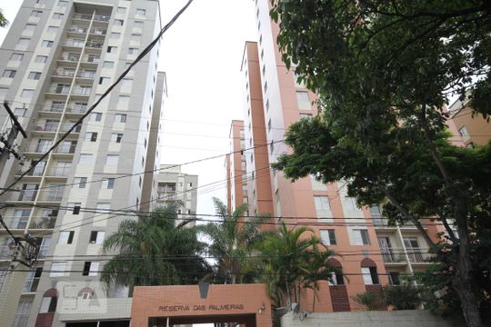 Fachada de apartamento para alugar com 3 quartos, 61m² em Cambuci, São Paulo