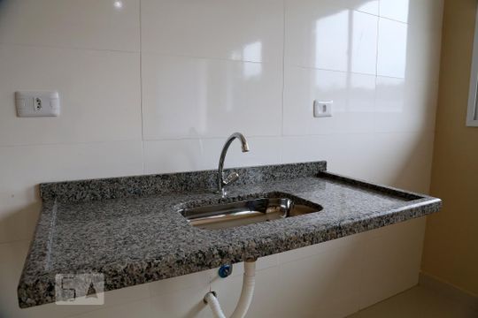 Cozinha de apartamento para alugar com 1 quarto, 30m² em Instituto de Previdência, São Paulo