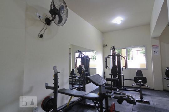 Área comum - Academia de apartamento para alugar com 2 quartos, 50m² em Vila Basileia, São Paulo