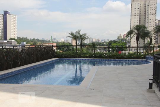 Área comum - Piscina de apartamento para alugar com 2 quartos, 56m² em Vila Mascote, São Paulo