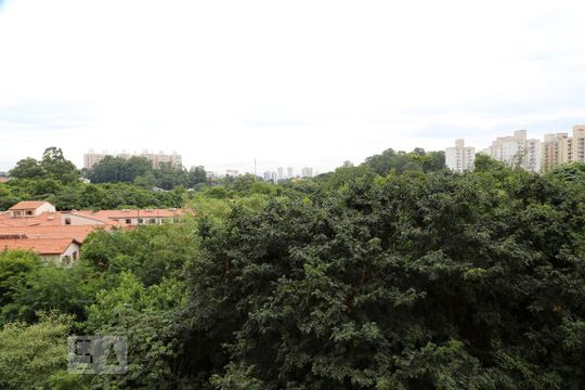Vista Varanda da Sala de apartamento para alugar com 3 quartos, 60m² em Pirajussara, São Paulo