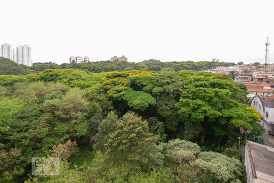 Vista de apartamento para alugar com 3 quartos, 81m² em Vila Isa, São Paulo