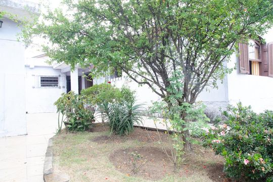 Pomar de casa à venda com 2 quartos, 278m² em Jardim Japão, São Paulo