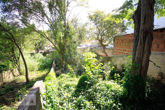 Área verde - Quintal de casa para alugar com 2 quartos, 220m² em Jabaquara, São Paulo
