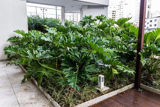 Área Comum de apartamento à venda com 3 quartos, 116m² em Jardim das Acácias, São Paulo