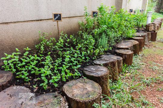 Horta de apartamento à venda com 3 quartos, 91m² em Lapa, São Paulo