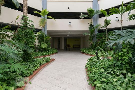 Área comum - Entrada de apartamento para alugar com 2 quartos, 82m² em Cambuci, São Paulo