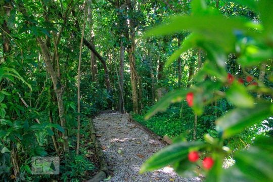 Área Comum - bosque de apartamento para alugar com 2 quartos, 80m² em Trindade, Florianópolis