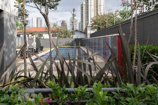 Área comum - Piscina de apartamento para alugar com 2 quartos, 50m² em Vila Santa Catarina, São Paulo