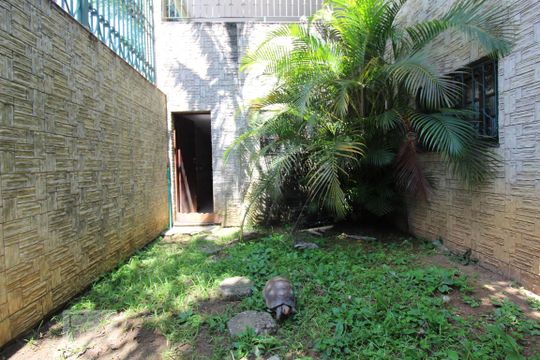 Área comum de casa à venda com 4 quartos, 352m² em Osvaldo Cruz, São Caetano do Sul