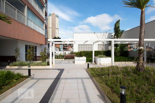 Área comum de apartamento para alugar com 1 quarto, 35m² em Cambuci, São Paulo